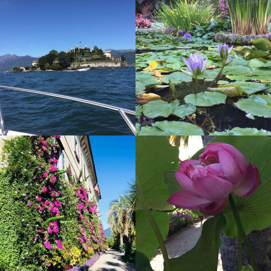 Lakeside Lago Maggiore Monvalle Ngoại thất bức ảnh