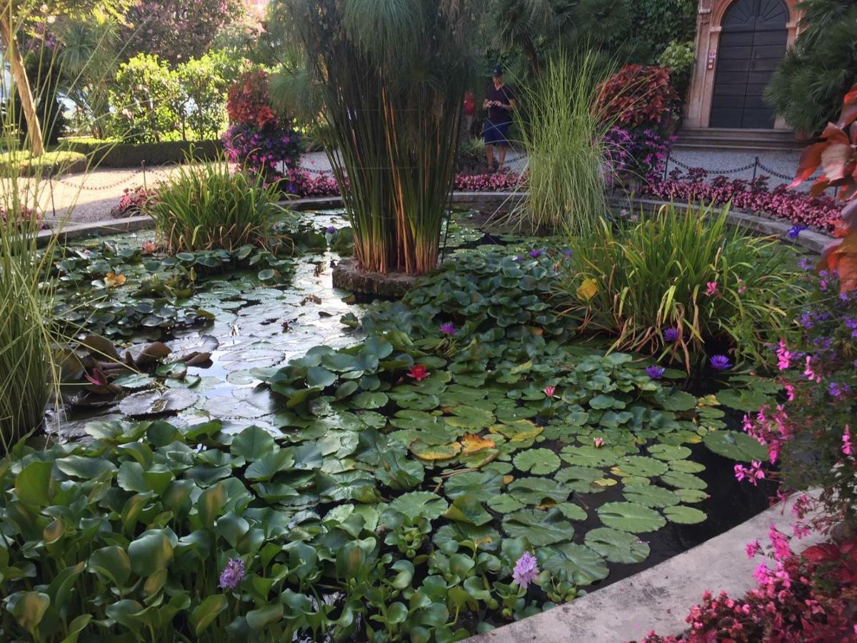 Lakeside Lago Maggiore Monvalle Ngoại thất bức ảnh